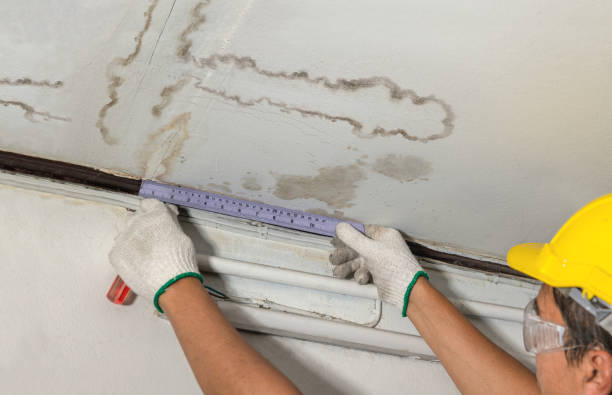 Reliable Basement Flood Cleanup contractor in Monticello, AR by Hirex Water Damage